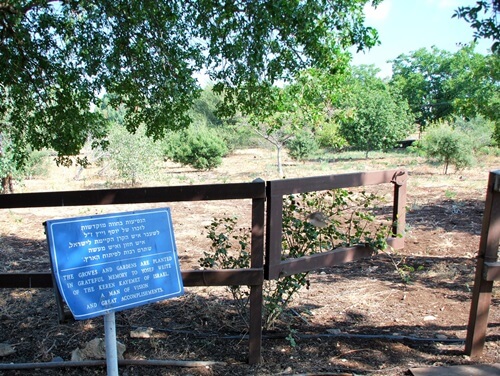 ורד הגליל- חוות סוסים